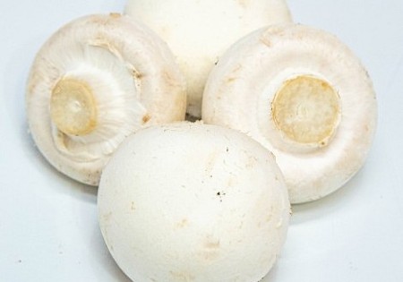 Champignons