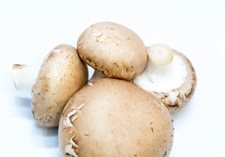 Kastanjechampignons