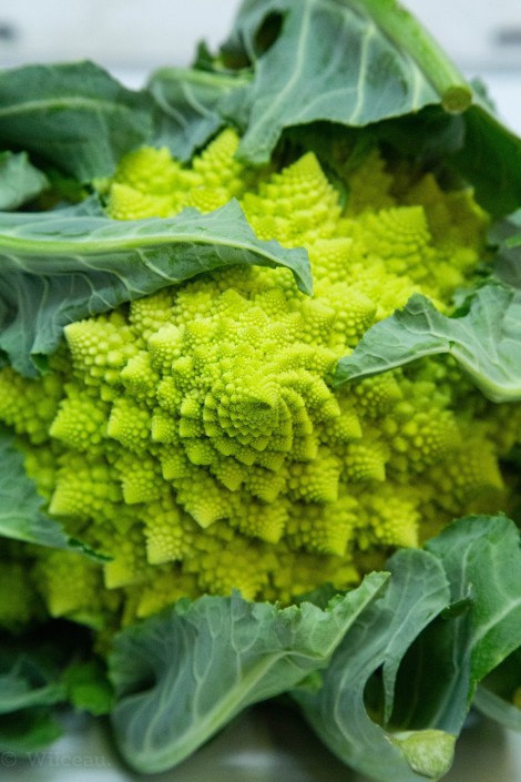 Romanesco