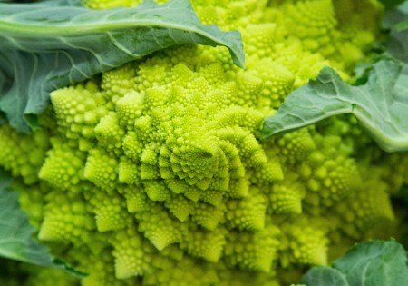 Romanesco