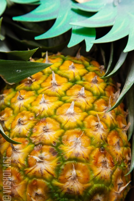 Ananas