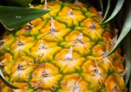 Ananas